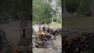 Most Beautiful View #nature #travel #gilgitbaltistan #pakistan #mountains #village