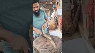 Eel fish cutting skills 🔥🔪 fish BAAM cutting 🔪 video (part 2)#shorts #short #fishing #fish