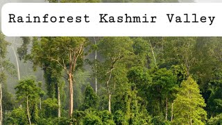 Rainforest Kashmir valley_۔                جنت نظیر وادی کشمیر  Unforgettable natural beauty