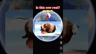 i found amazing cow 🤯😳 on google maps #shorts #youtubeshorts #googleearth