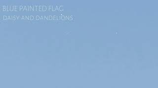 Blue Painted Flag - Daisy and Dandelions