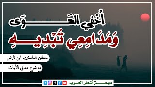 أخفي الهوى ومدامعي تبديه || ابن فارض || مع شرح الأبيات