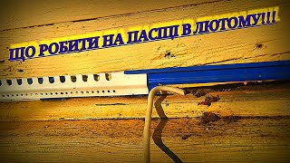 Що робимо на пасіці в лютому? І в якому стані повинні бути сім’ї бджіл!