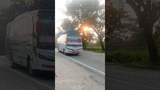 Bus Armada Indah #shorts #busarmadaindah #busvirall