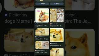 i like the doge meme so much i almost cry. 😭