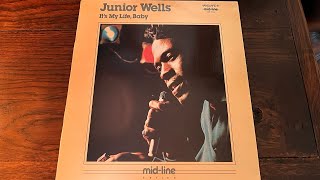 JUNIOR WELLS -"Shake It Baby"   BLUES/FUNK   ブルース/ファンク(vinyl record)