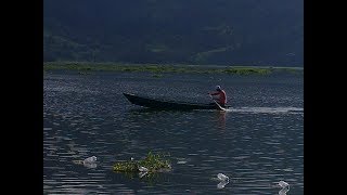 Tour of Fewa Taal and Taal Barahi Temple in 4K