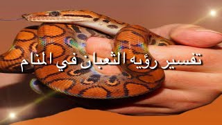 تفسير الثعبان (الحية )في المنام 🐍