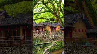 beautiful house #shorts #youtubeshorts #viral #viralvideo