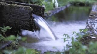 Casadh An tSúgáin (Twisting Of The Rope) - The Chieftans