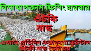 Visakhapatnam Fishing Harbour || Dry Fish || শুঁটকি মাছ || ভাইজ্যাগ এ কিভাবে শুঁটকি মাছ তৈরি হয়