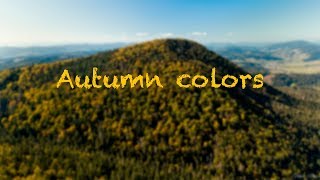 Autumn Colors