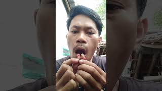 #shorts Makan buah murbey #trending #tiktok