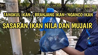 Traditional Fishing Indonesia || Branjang Ikan ||Tangkul ikan || Nganco Ikan || Nets fishing