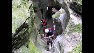 Cerveyrieu fossile (Rhône-Alpes, Ain) 2008