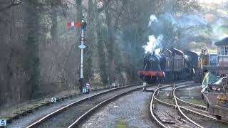 South Devon Railway: Winter Steam Gala (29/12/2023)