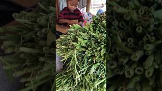 menunggu ibu berjualan sayur #flores #shortvideo #ntt #shorts #sayur