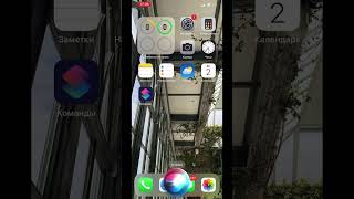 Ты недооцениваешь Siri #фишкиайфон   #iphonetricks #техноблог #айфонфишки  #siri #голосовойпомощник