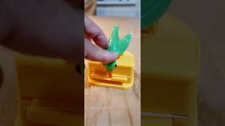 Bird holding a toothpick #best #unlimited #viralshort #asmrvideo #howto