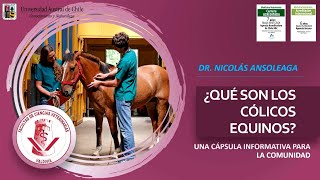 Cólicos equinos - Dr Nicolas Ansoleaga - cápsula de información- Medicina Veterinaria UACh, Valdivia