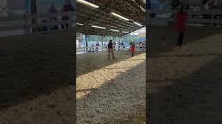 Cullman County Fair Dogs 1