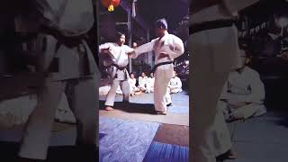 GOJU RYU SHINBUKAN INDONESIA #shortvideo