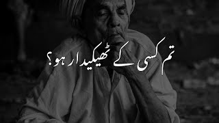 Tum Kisi Ka Thakydar Ho | Molana Tariq Jameel Emotional Bayan Stutas | A M A E S R 📿 | #shorts