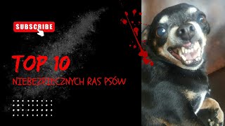 TOP 10 Niebezpiecznych Ras Psów ! *masz takiego w sąsiedztwie?*