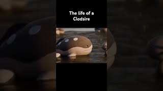 The Life of a Clodsire