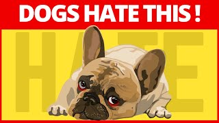 10 Things Your Dog Hates That You Might Not Know