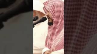 القارئ - ماجد الحازمي