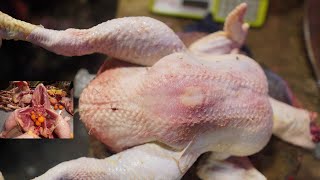 Amazing Boneless Chicken Cutting Skills | Super Fast Chicken Cutting Skills |  Chicken Cutting