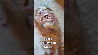 Scary Halloween Mask