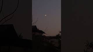 Evening Moon Rise |சந்திர உதயம் #shorts