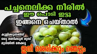 നെല്ലിക്ക നീരിൽ ഈ പൊടി ഇട്ടു ഇങ്ങനെ ചെയ്താൽ /hair car /poppy vlogs /malayalam