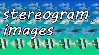 STEREOGRAM IMAGES parallel view,magic eye pictures,tropical fish