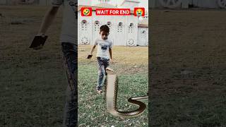 मम्मी बचालो 😭🔥 #shorts #funny #snake #deepmoveit #youtubeshorts