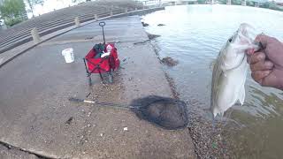 5-26-19 OHIO RIVER BANK FISHING(CINCINNATI) STRIPER