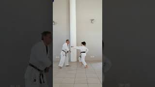 Wadoryu: Sanbon kumite tsuki Jodan Yonhonme.                       #artemarziale #wadoryu #karate