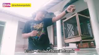 Koplak Epsd.8 "MANUK KU"