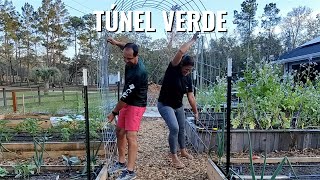 Horta em Túnel - Mais vegetais em menos espaço!