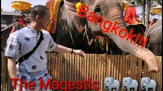 Bangkok Trip with Family | What we did in Thailand