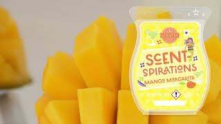 Mango Margarita Scentsy Bar Fragrance Description