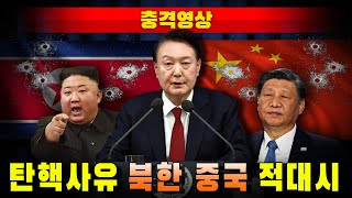 [충격영상] 황당한 탄핵 사유..."북한-중국 적대시"