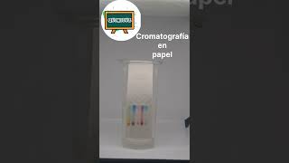 Cromatografia #química