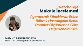 Pyometralı Köpeklerde Erken Böbrek Hastalığının Renal Doppler Ölçümlerine Göre Değerlendirilmesi