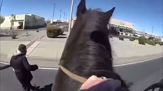 Bodycam: Shoplifter Tries to Outrun Horse-Mounted Police in Wild New Mexico Chase