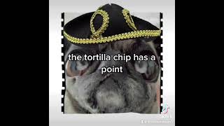 Tortilla Chip Day! Love 💕 & Hugs Louie Here!