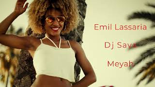 Emil Lassaria, Dj Sava, Meyah - Life Is Wonderful