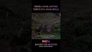 Dikira anak anying ternyata anak singa #movie